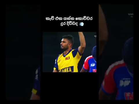 ඒ නායකත්වය 🤪 #trend #cricket #viralvideo #cricketlover #shortsfeed