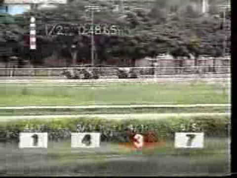 Copa Confraternidad del Caribe 1996