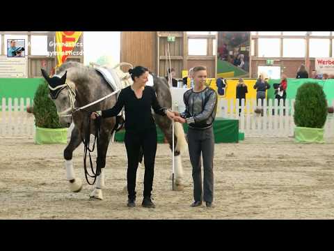 Sam Perkuhn (RHL) - Herren 03 - DJM Krumke 2019