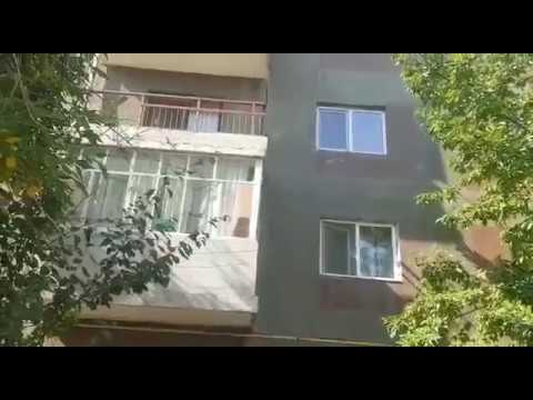 pisica salvata de ISU Călărași - 3 10 2019