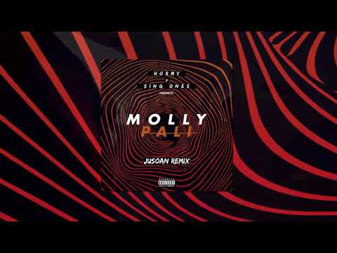 Hormy x Sing-Ones - Molly Pali (Jusoan Remix)