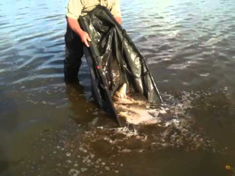 Coarse Fishing Holidays in Spain with www.extremadurafishing.com