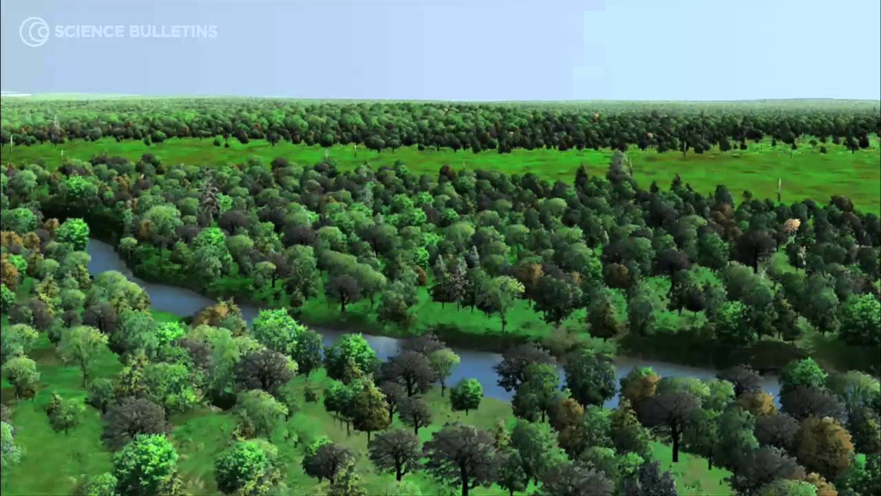 Bronx River Restoration video thumbnail — AMNH Science Bulletins