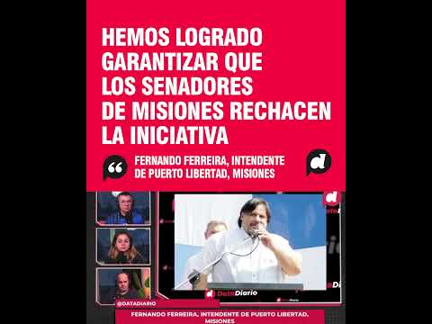 Misiones rechaza la iniciativa oficial