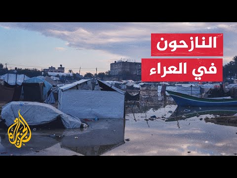 فيديو | قطاع غزة.. الأمطار تغرق خيام النازحين والرياح تدمر أخرى