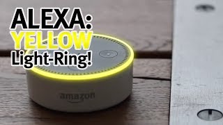 Alexa shows a yellow light! (Amazon Echo)