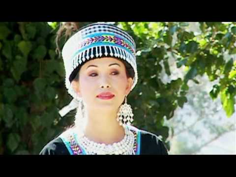 Tsis yog ib leeg tub