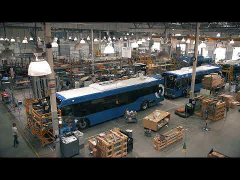 Coconut Colors video.