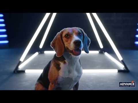 ADVANCE Weight Balance: Formulado para perros con sobrepeso