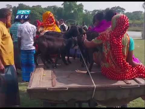 সবজি চাষ আর ছাগল-ভেড়া পালনে দিন ফরেছে জয়খা গ্রামের মানুষের | ETV News