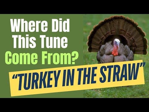 Hidden History of “Turkey in the Straw” | Old-Time Fiddle Tune Origins Explained