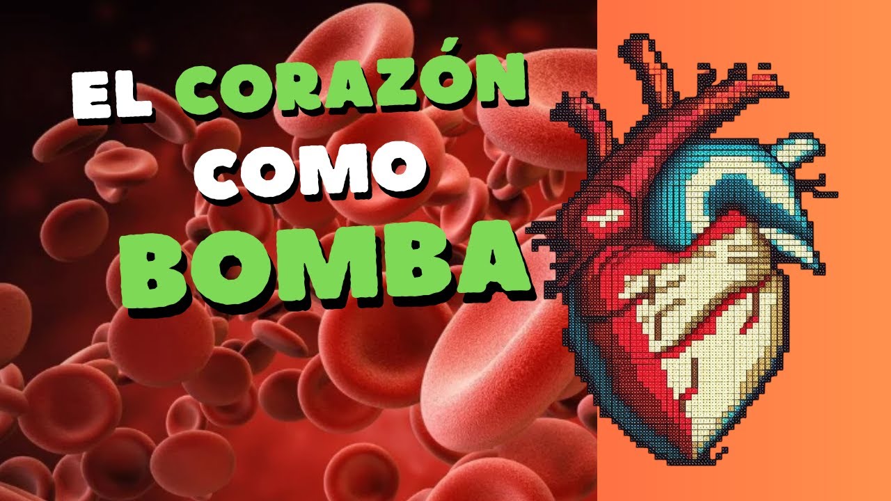 El Corazón como Bomba y el Ciclo Cardiaco