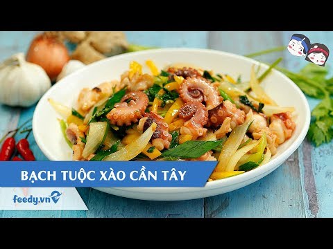 Hướng dẫn cách làm món BẠCH TUỘC XÀO CẦN TÂY | Feedy TV