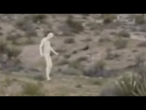 5 Times People Caught Grey Aliens On Camera!