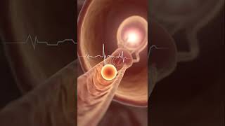 Download lagu Ovulation Day 14 — Egg Released from Ovary | Inside the Female Body in 8K Cinematic View mp3