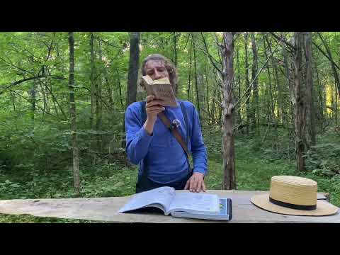 Psalm 91:1-7, 11 Scripture Song | He That Dwelleth In The Secret Place of the Most High