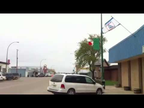 The Spiritwood Weather Bird