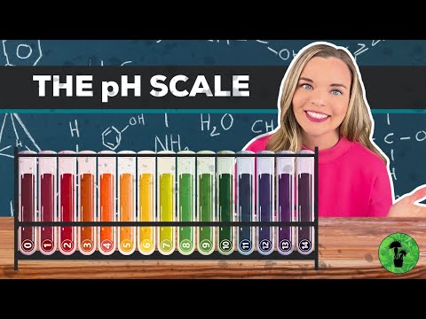 Acids Bases & the pH Scale