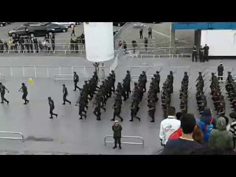 07 Setembro 2016 - Desfile Sambódromo do Anhembi/SP - P3