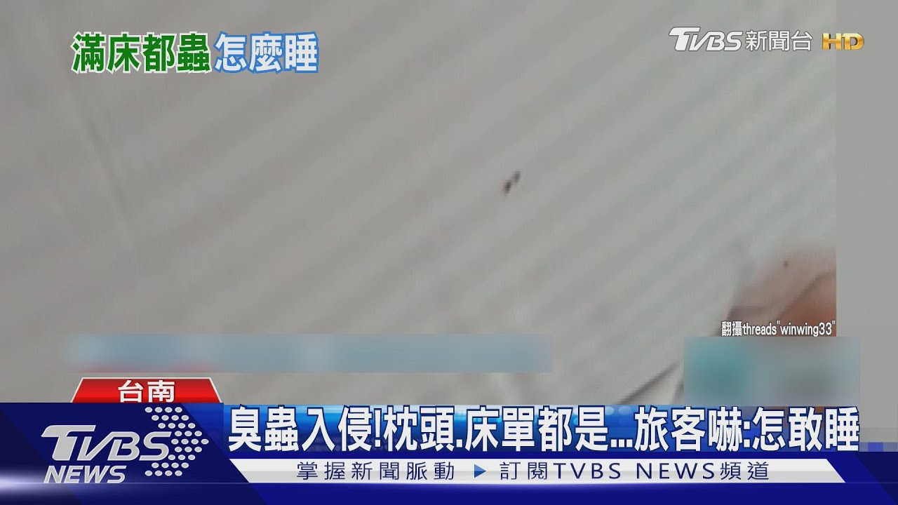 臭蟲入侵! 台南旅館枕頭.床單全都是 嬤嚇壞不敢睡