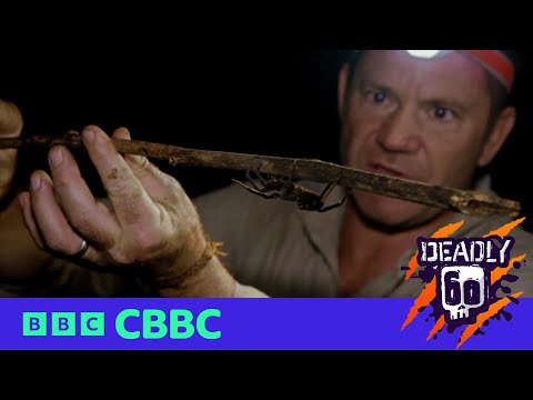 Steve Backshall's Deadly 60: Komodo Dragons, Reticulated Pythons, and More! | CBBC