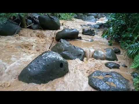 Anaconda Sumabay sa baha