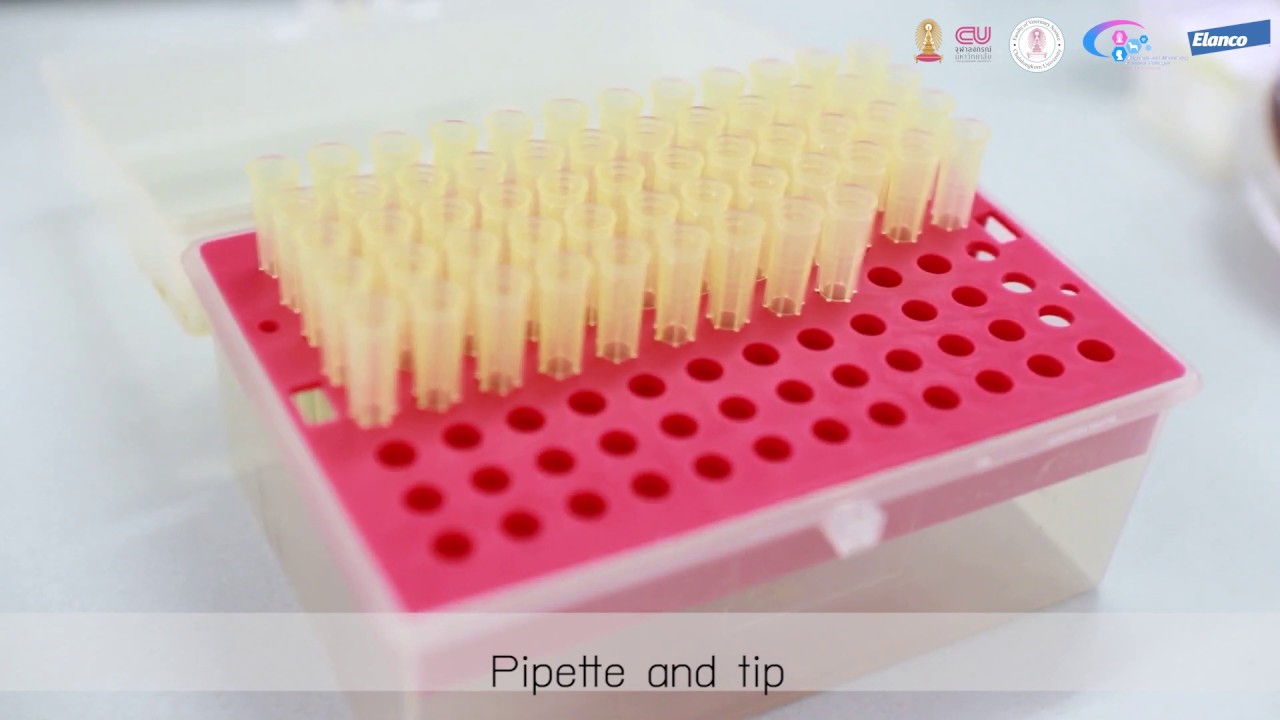 DMAP: VET MICRO LAB 2