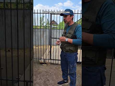 Контроль агрессии.
