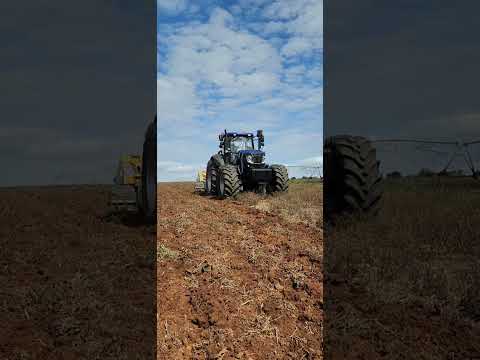 Lovol Zimbabwe 260hp tractor