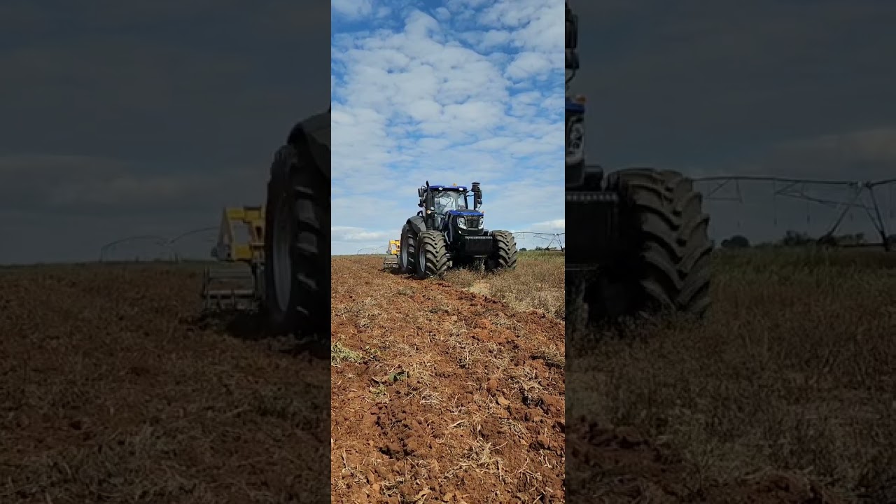 Lovol Zimbabwe 260hp tractor