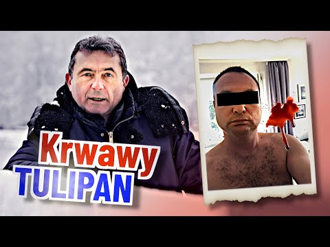 Krwawy Tulipan. Zabijał swoje partnerki, żeby przejmować ich majątki