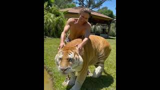 Download lagu Tiger Funny Moment |Kadyantle the Real life Tarzan #shorts mp3