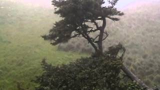 Cape Blanco Lighthouse.avi
