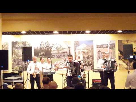 David Velkov  i  Orkestar Milan Jovanovic Jabucanac - 2015