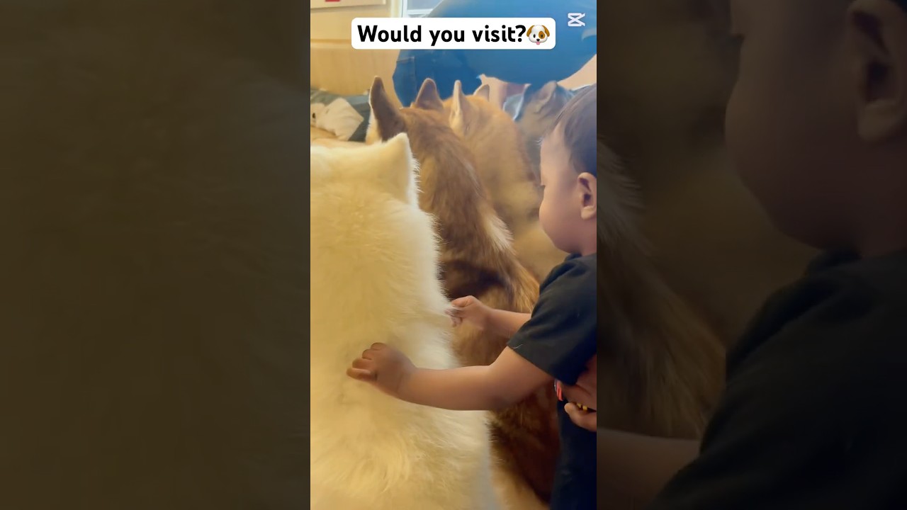 YouTube Short thumbnail