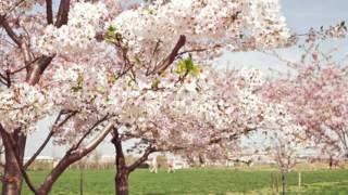 Andrea Martin - My hearts addicted