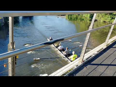 More Rowing On The River Derwant.