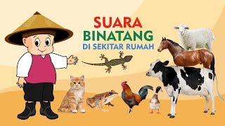 Download lagu Mengenal Suara Hewan - Slow TV Bahasa Indonesia mp3 Download lagu Mengenal Suara Hewan - Slow TV Bahasa Indonesia mp3