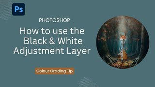 Black White Adjustment Layer for Colour Grading