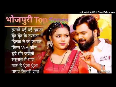 हरनवे हरनवे धई धई दबाता | Top Nonstop Bhojpuri Songs 2025 | Shilpi Raj , Neha Raj | Bhojpuri Gana
