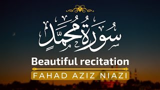 Download lagu Surah Muhammad | Fahad Aziz Niazi سورة محمد | القارئ فهد عزيز نيازي mp3 Download lagu Surah Muhammad | Fahad Aziz Niazi سورة محمد | القارئ فهد عزيز نيازي mp3