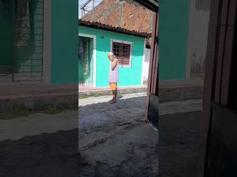 leneu  itapissuma Pernambuco canal da família