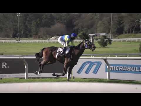 LARRAVIDE METROS FINALES