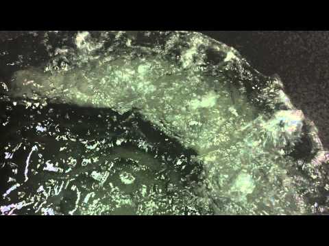 FRERIKSØN`S HOTTUB`S LUCHT BUBBELS