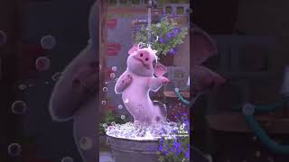Download lagu #cute #pig dancing mp3