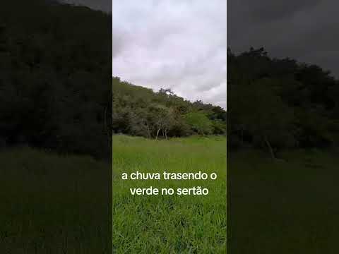 nordeste boninal bahia