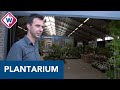 Plantarium gedecimeerd tot digitale huisbeurs: 'Een wereld vanverschil' - OMROEP WEST