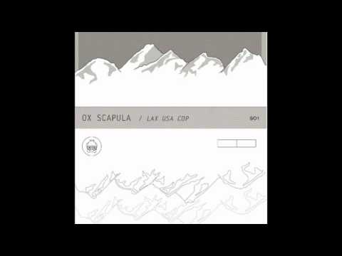 Ox Scapula - For Several