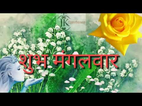 शुभ मंगलवार Good Morning video WhatsApp Status Shayari Happy Tuesday Enjoy