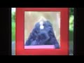 Sesame Street Theme Song Sunny Days 1999